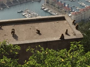 IMG_2681