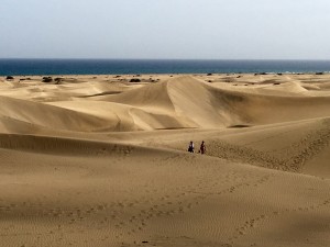 IMG_3198