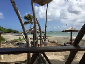 IMG_3330