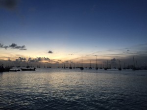 IMG_3367