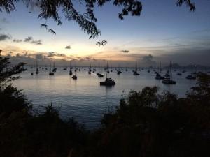 IMG_3370