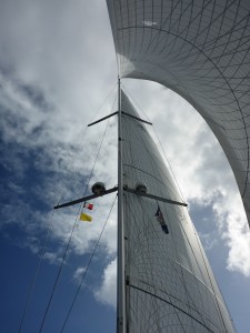 P1040546