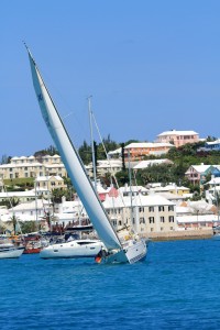 IMG_3473