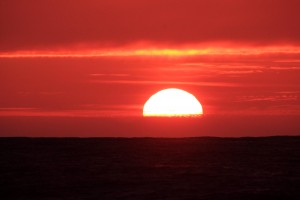 IMG_3503