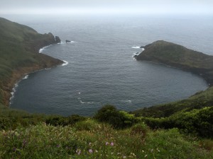 IMG_4625