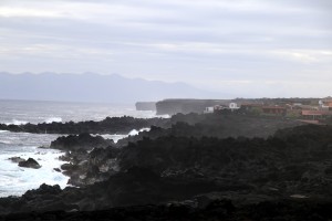 IMG_8660