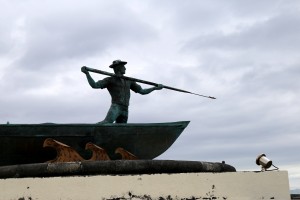 IMG_8688