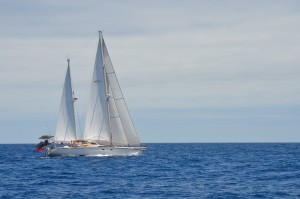 DSC_7390