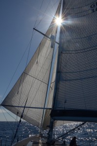 DSC_7576