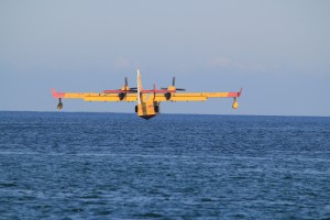 IMG_3773