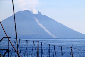 IMG_4208