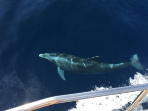 IMG_4845