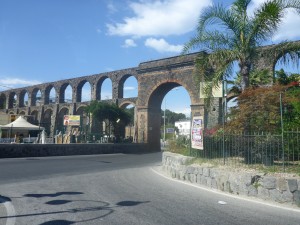 P1040203